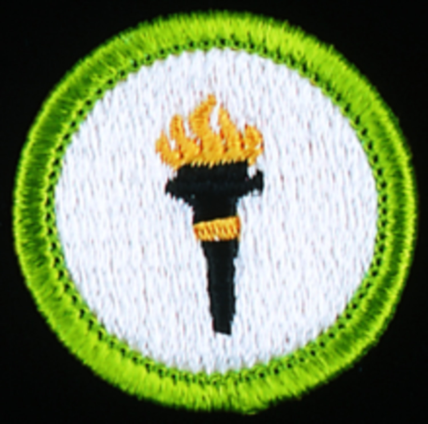 Camp Merit Badge 2020 - Public Health | Suffolk County Council